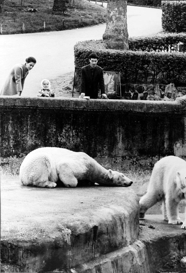 Elio Sorci : Senza titolo
Stampa ai sali d  - Asta Fotografia - Incanto Casa d'Aste e Galleria