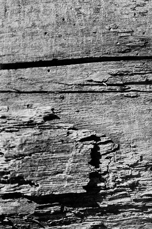 Giorgio Casali : Senza titolo
Stampa ai sali d  - Asta Fotografia - Incanto Casa d'Aste e Galleria
