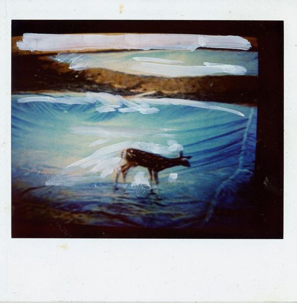 Mario Schifano,Mario Schifano - Senza titolo
Polaroid con ins