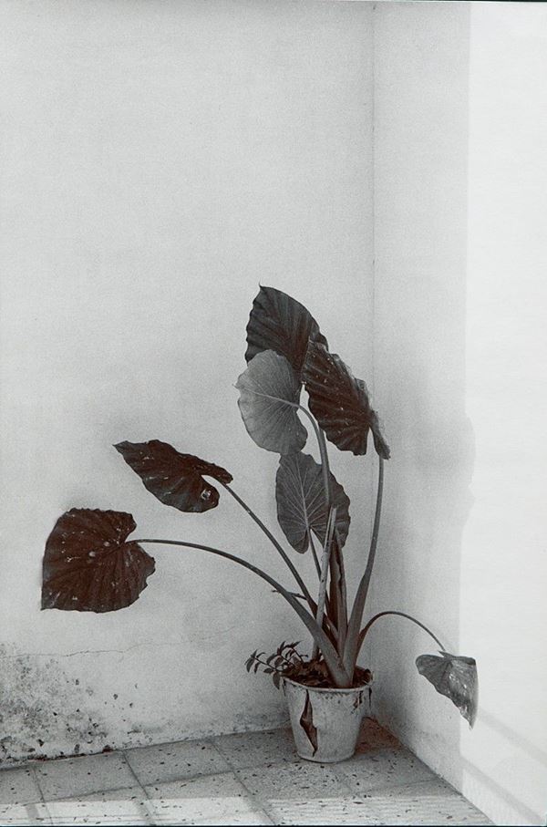 Enzo Obiso : Tre fontane, Sicilia
Agosto 1  - Auction Fotografia - Incanto Casa d'Aste e Galleria