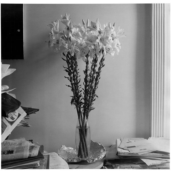 Enzo Obiso : Gigli in studio di Nicola De M  - Asta Fotografia - Incanto Casa d'Aste e Galleria