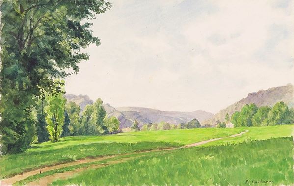 Luigi Calderini : Prati in Valchiusella
Olio su  - Asta Antiquariato - Asta da fallimento - Incanto Casa d'Aste e Galleria