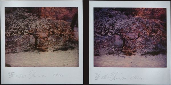 Enzo Obiso - Senza titolo, due fotografie
