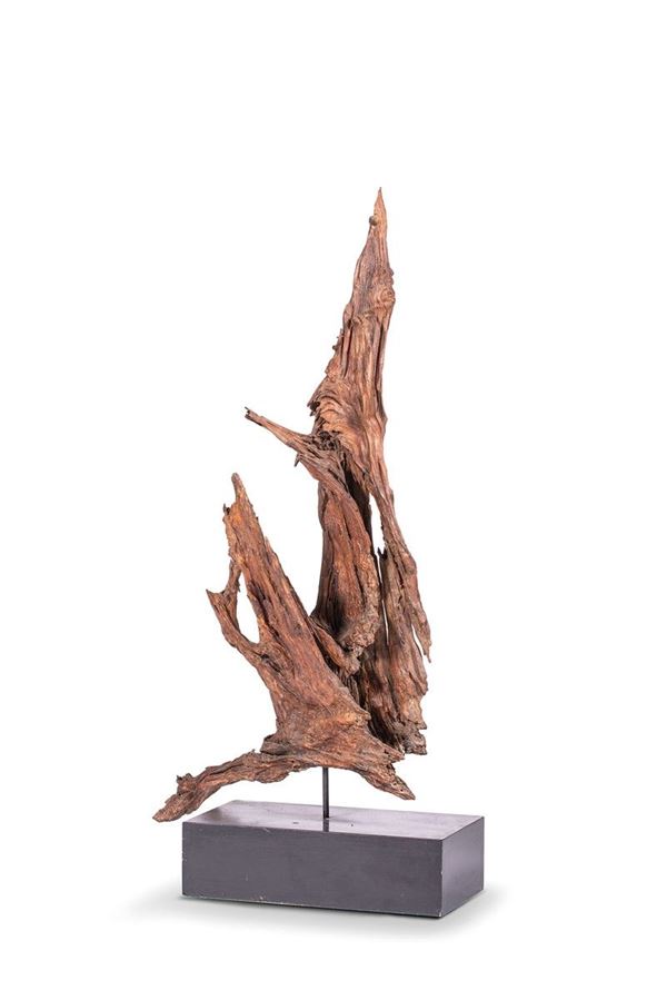 Scultura radice di albero.
h 