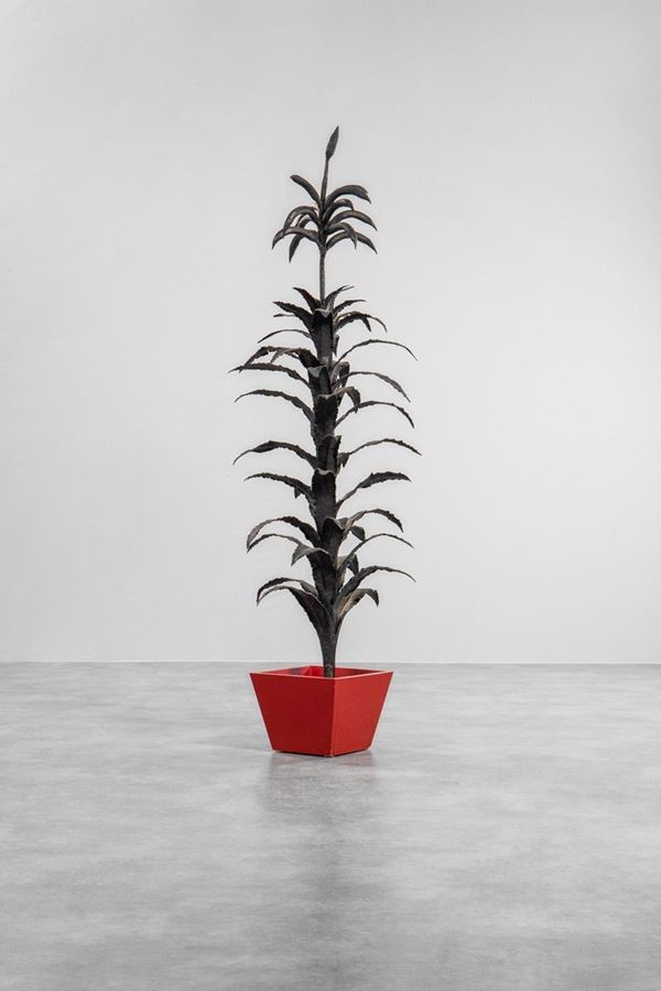 Pianta ornamentale anni &#39;40