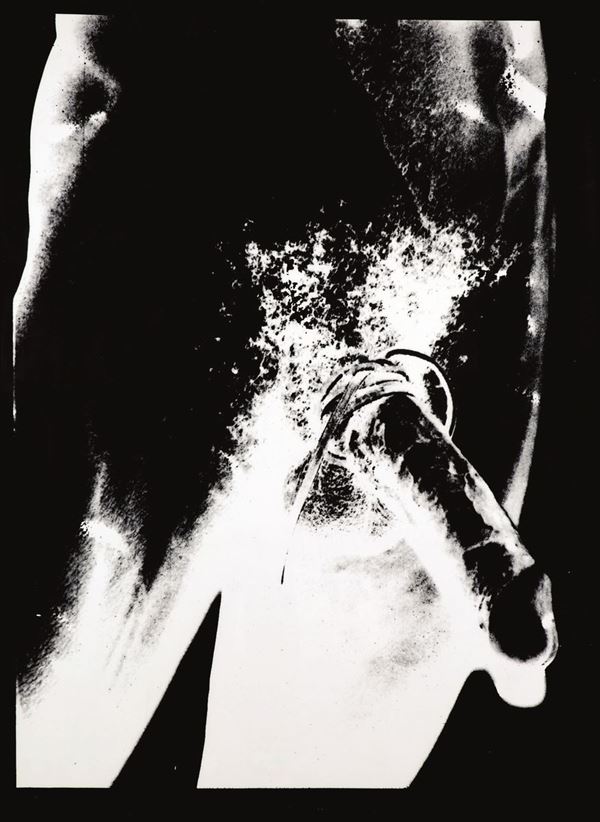 Andy Warhol - Torso (Male Genitals)