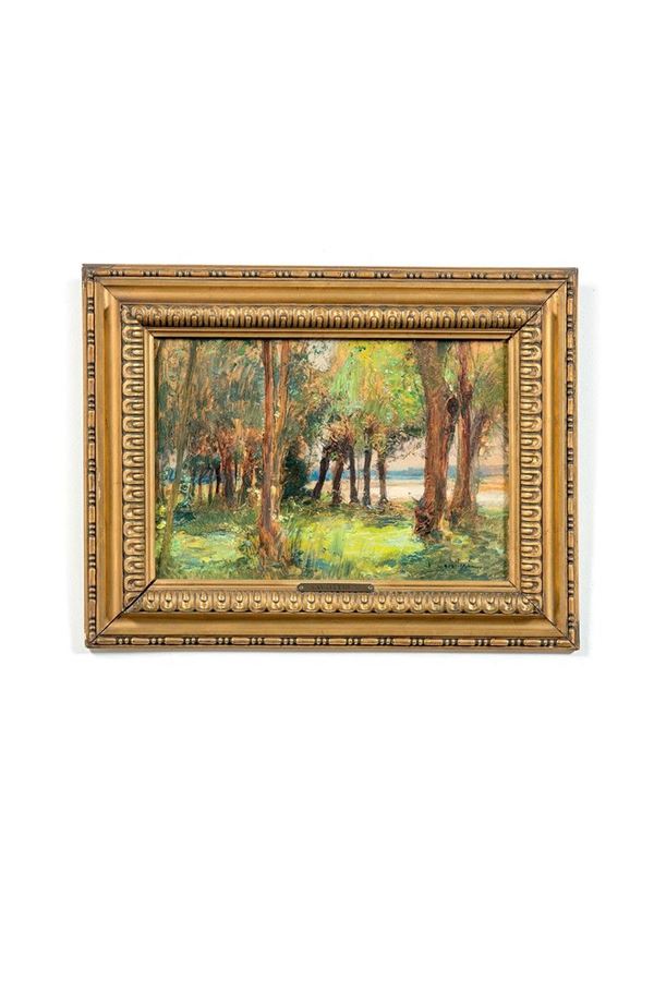 Vittorio Cavalleri : Paesaggio boschivo
Olio su ca  - Auction Antiquariato - Incanto Casa d'Aste e Galleria