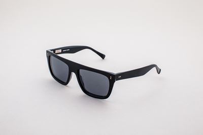 Sunglasses Pierfrancesco Model