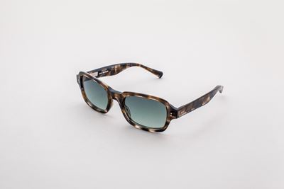 Sunglasses Silvio Model