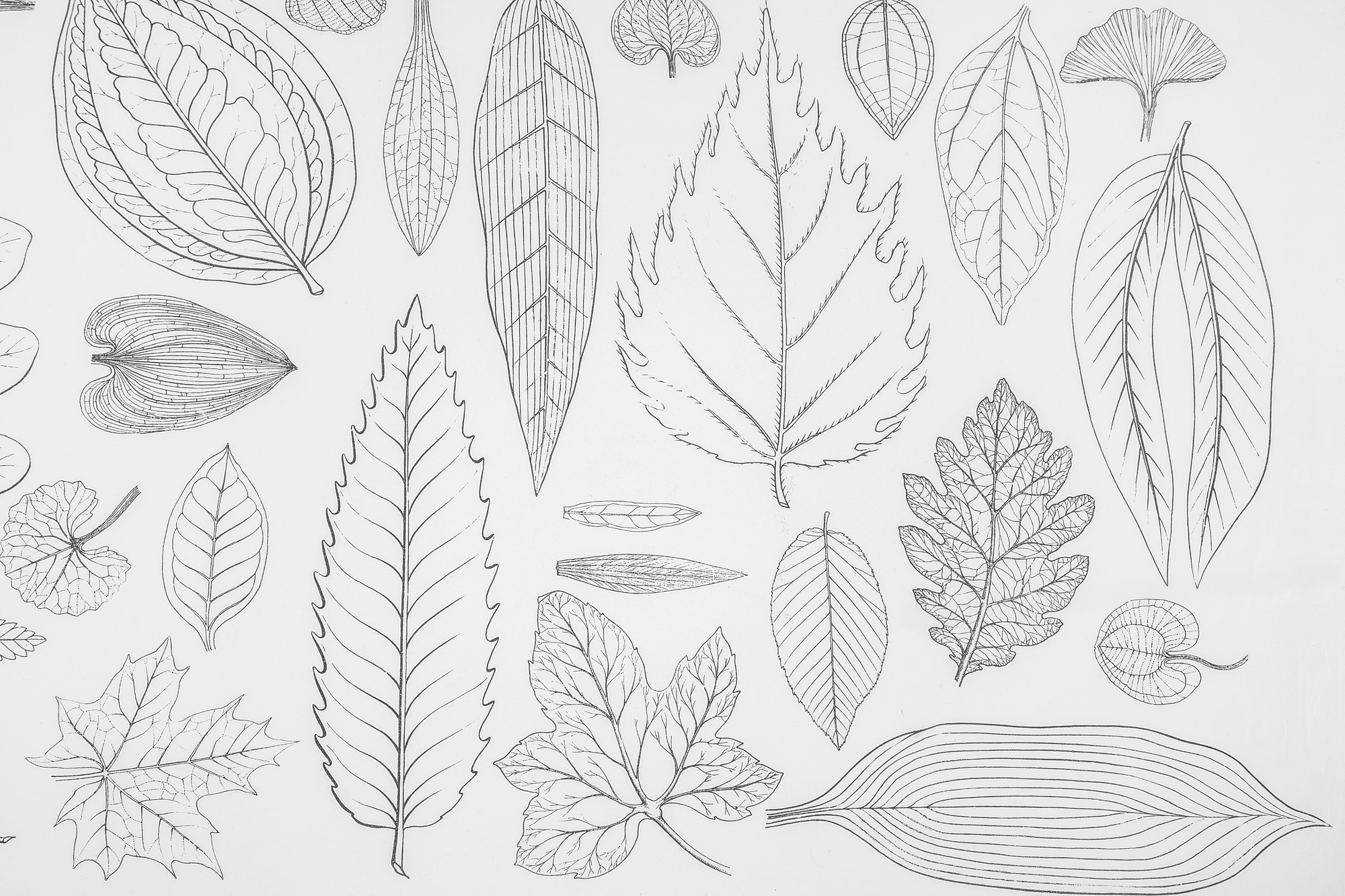 Tavolino con decoro Foglie