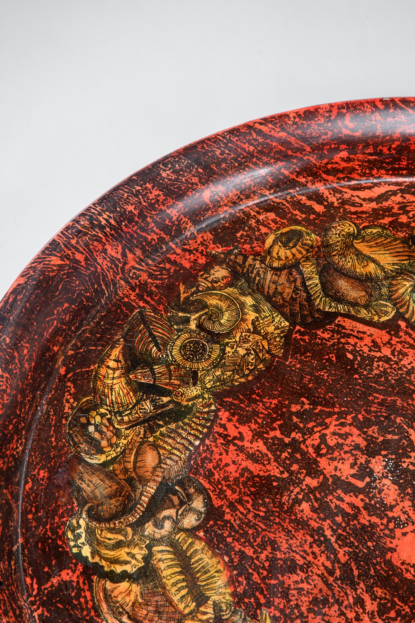 Vassoio decoro Fossili