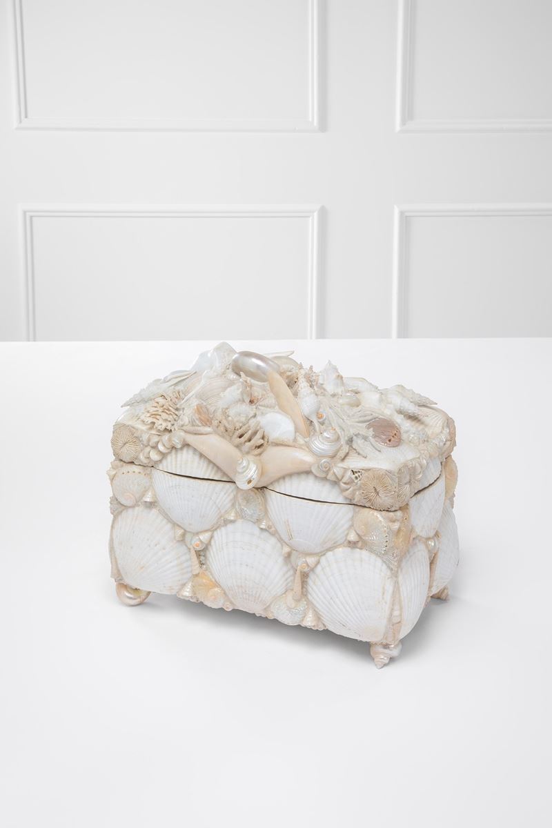 Scatola di conchiglie