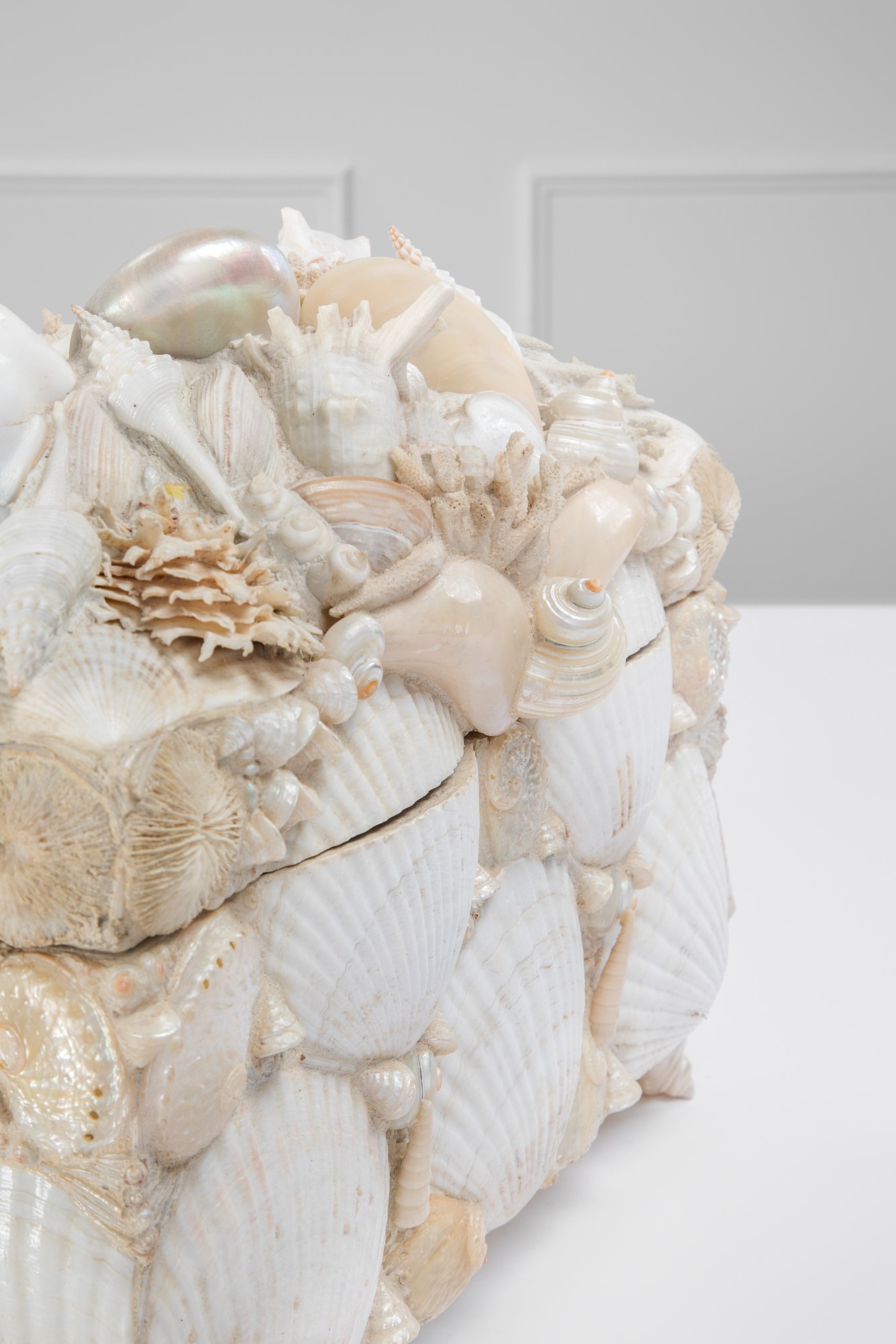 Scatola di conchiglie