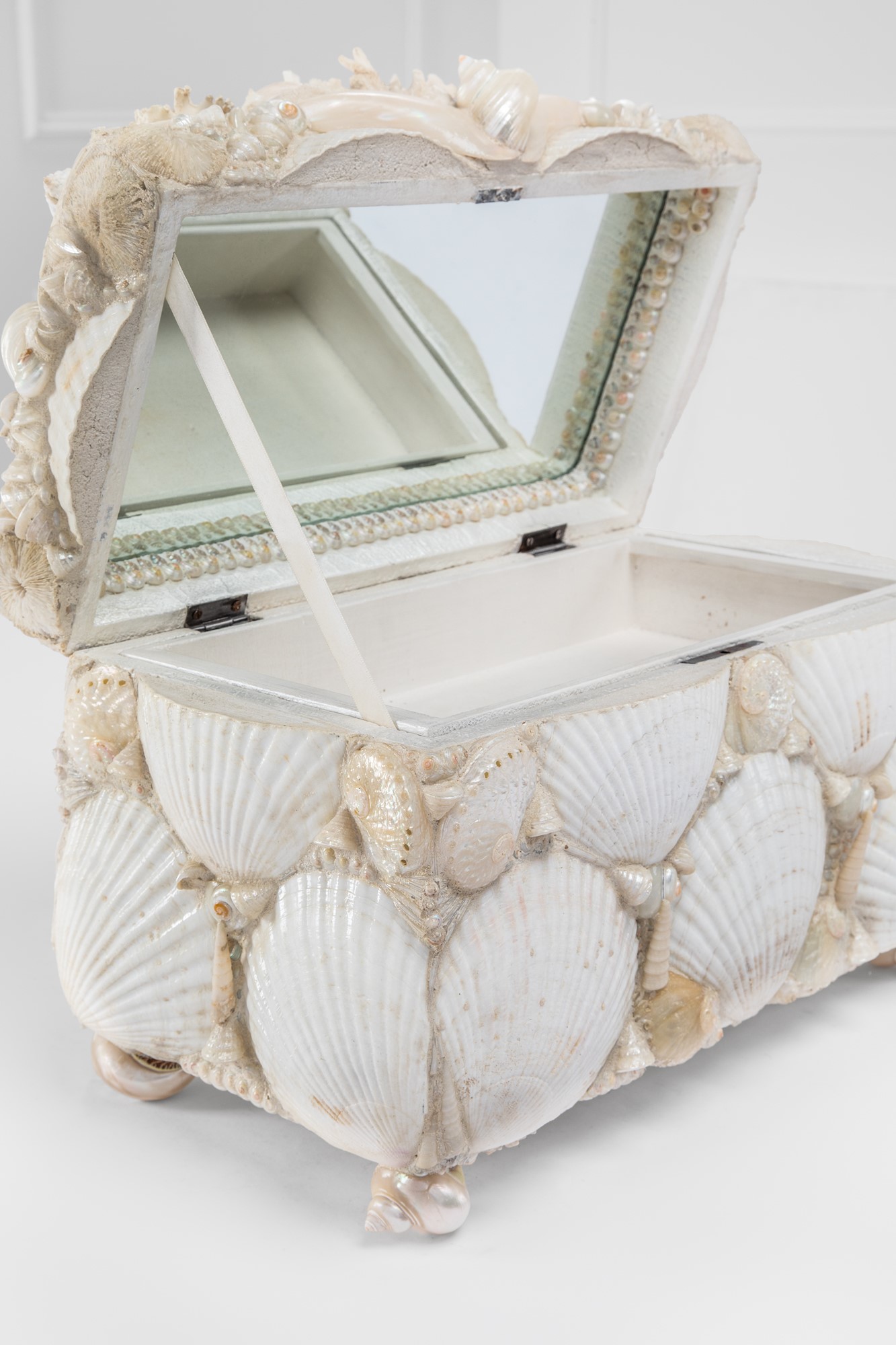 Scatola di conchiglie