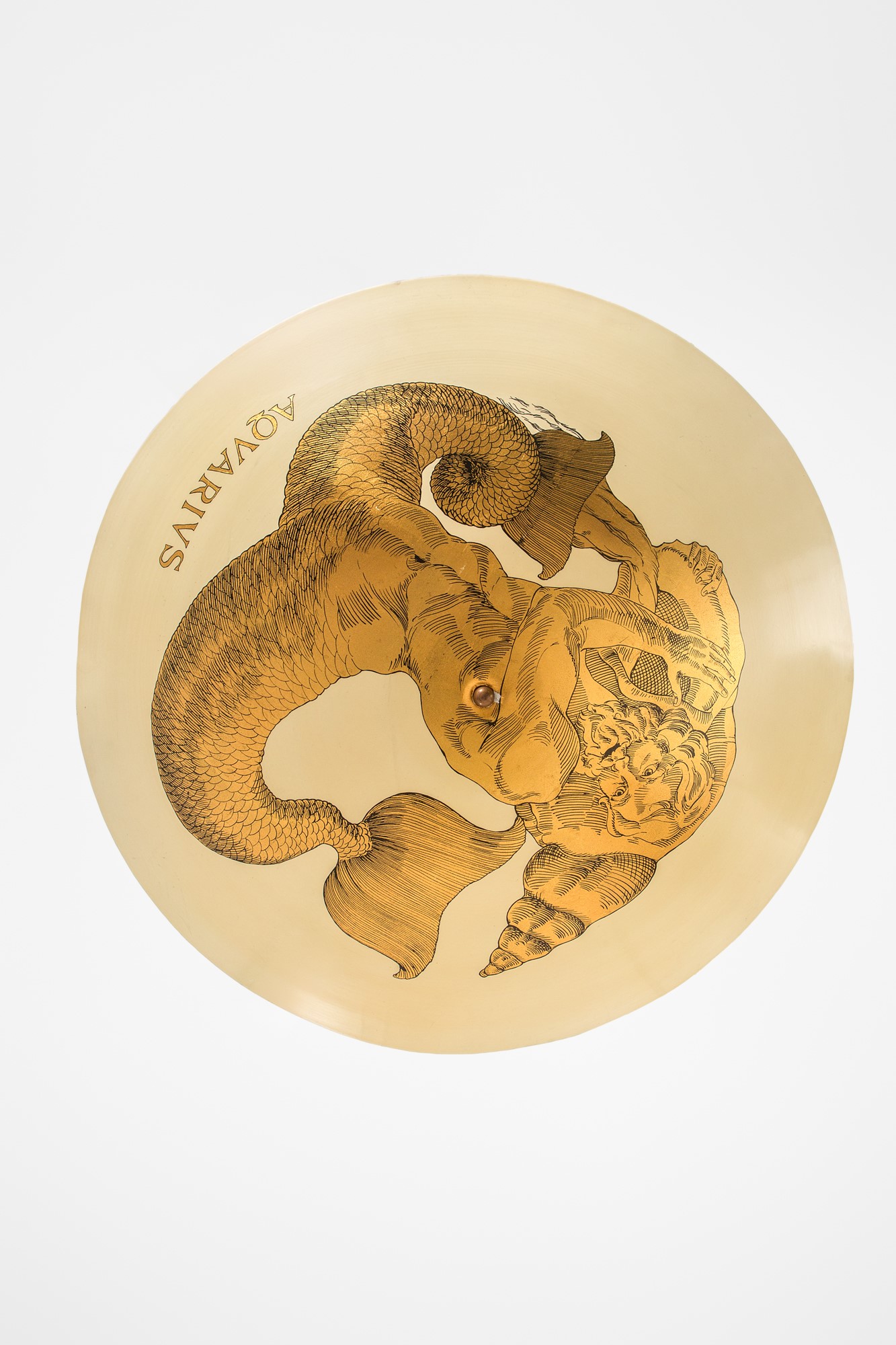 Lampada a sospensione Acquario della serie Zodiaci