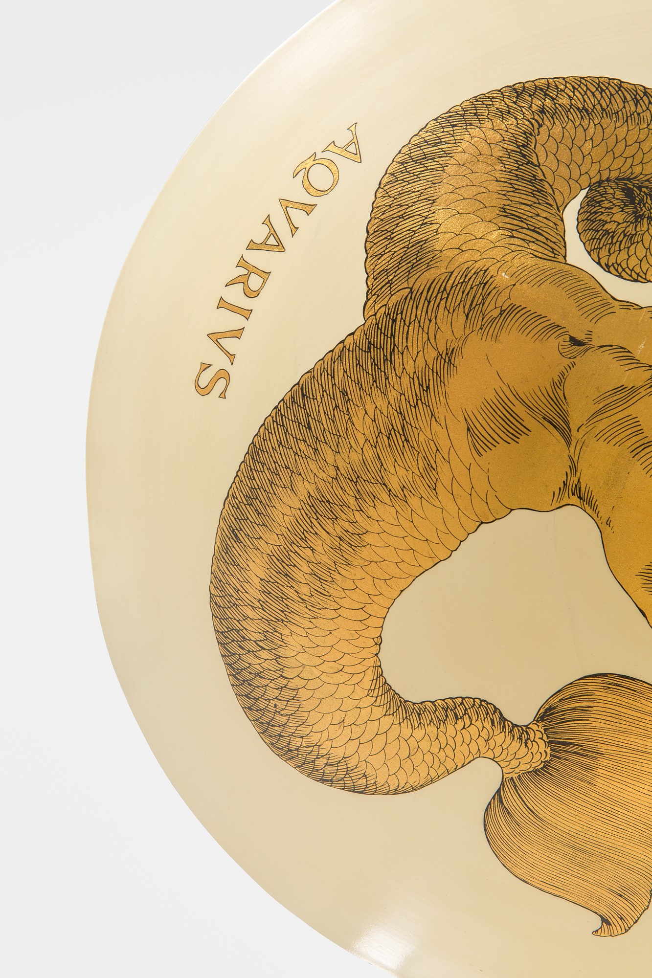 Lampada a sospensione Acquario della serie Zodiaci