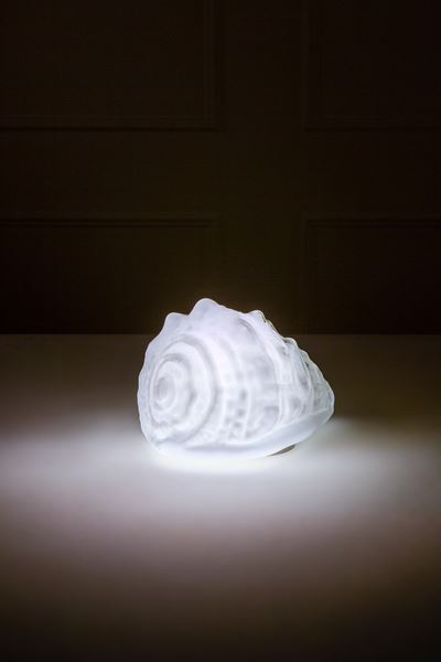Lampada da Ambiente Conchiglia