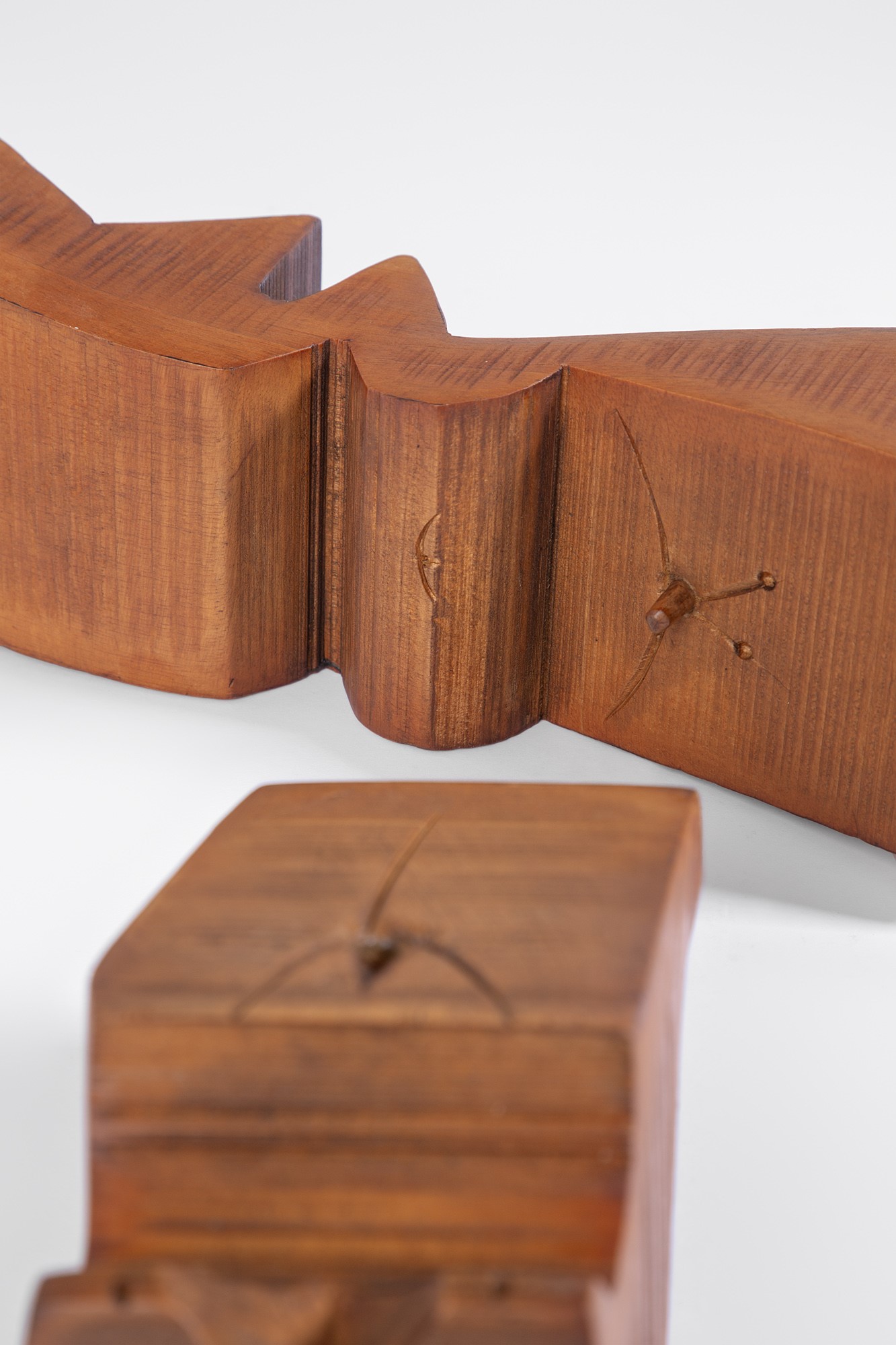 Np2 (nerone Ceccarelli, Giovanni Patuzzi) - Educazione Sessuale, scultura in legno