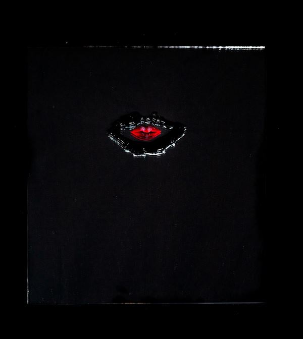 Beatrice Casoli - Società