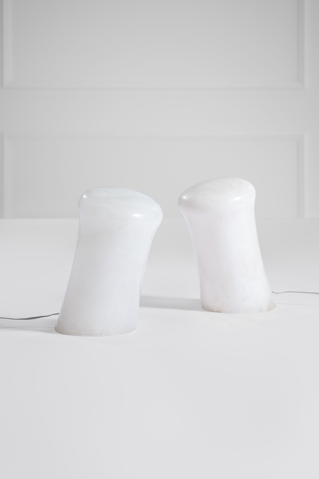 Due lampade da tavolo