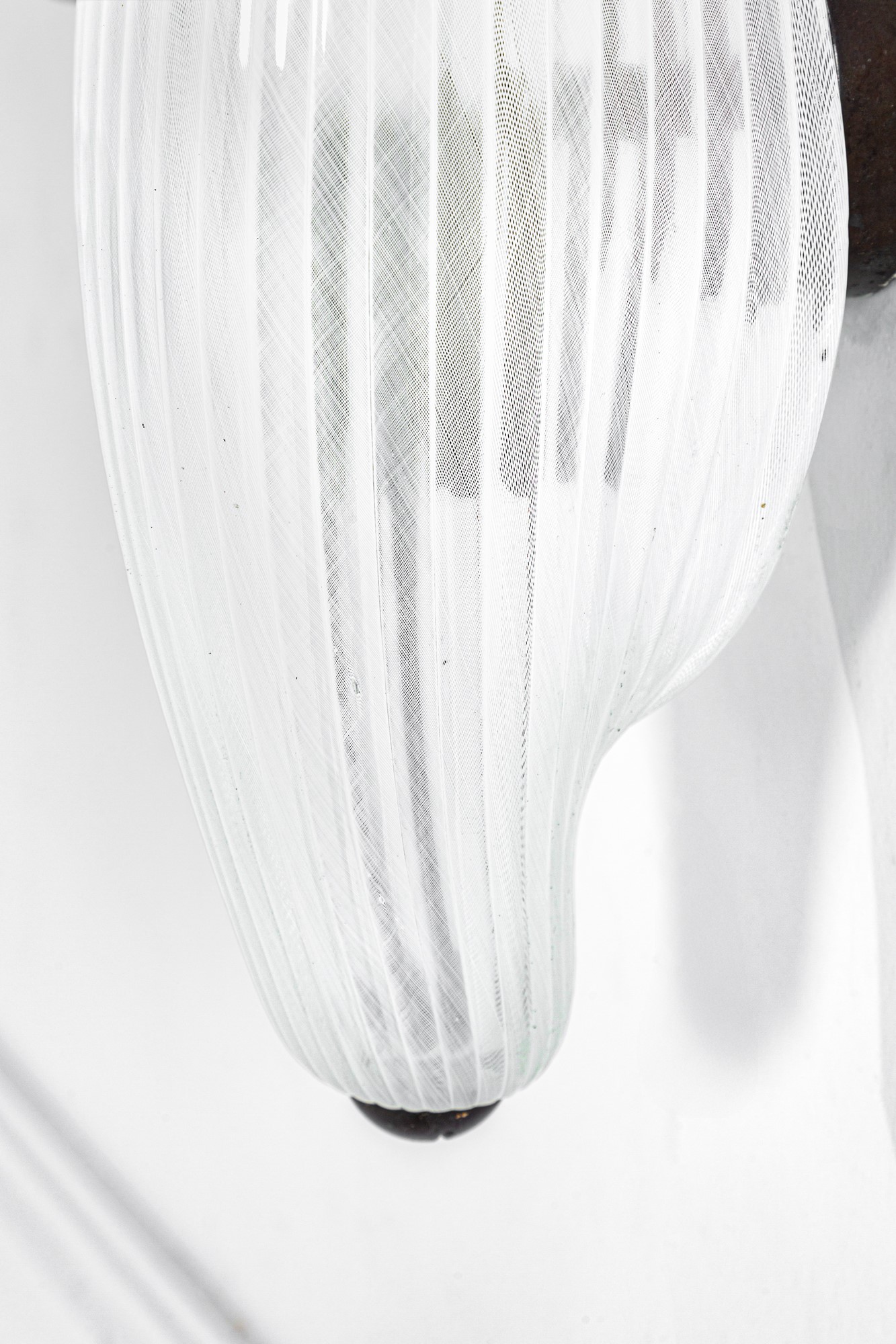 Due lampade da parete