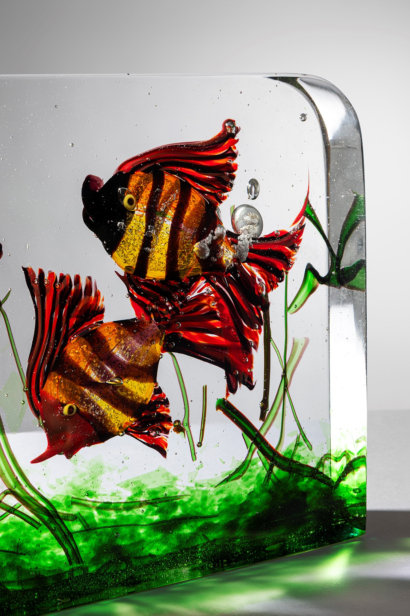 Acquario