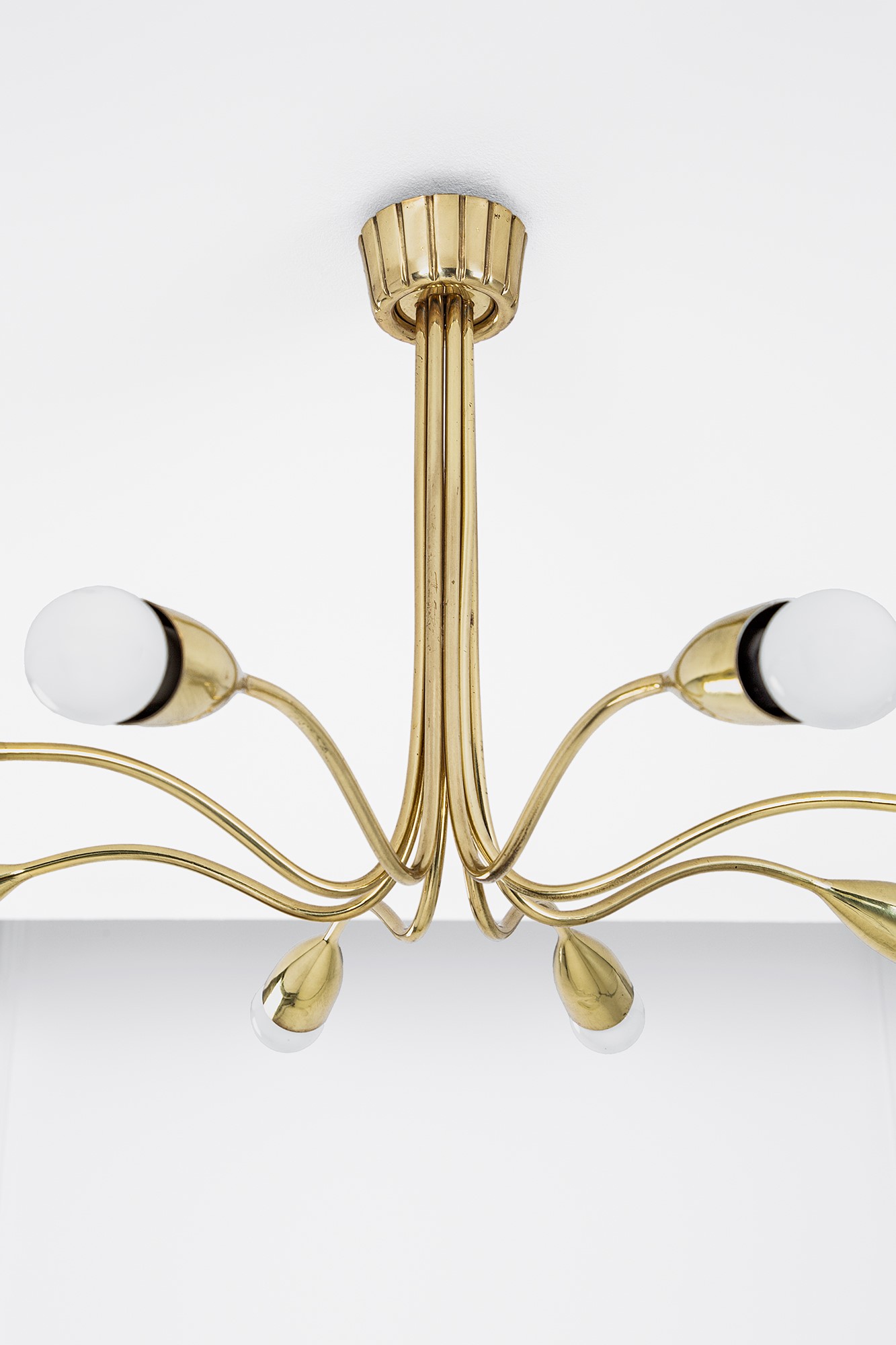 Oscar Torlasco (attr.) - Lampadario a otto luci in ottone dorato
