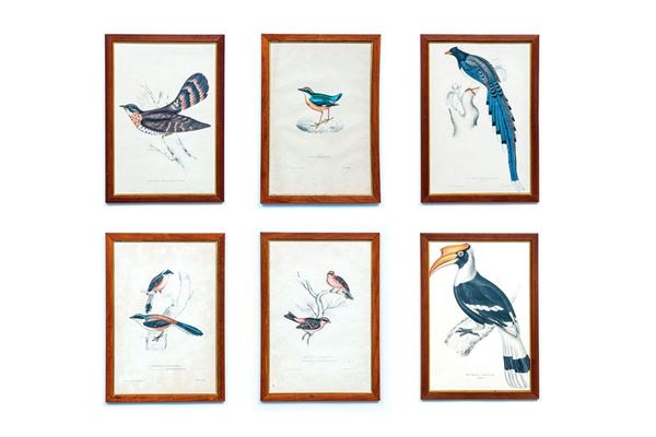 Dodici stampe colorate raffigu  - Asta Antiquariato - Incanto Casa d'Aste e Galleria
